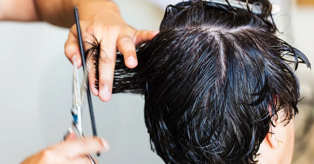 découvrez la coupe papillon, parfaite pour les cheveux fins : légère, élégante et pleine de mouvement pour sublimer votre coiffure.