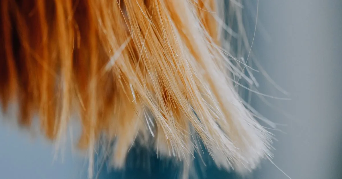 découvrez comment prévenir et éliminer les cheveux électriques pour une coiffure lisse et maîtrisée toute la journée.